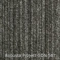 /products/robusta-project-sdn-587/